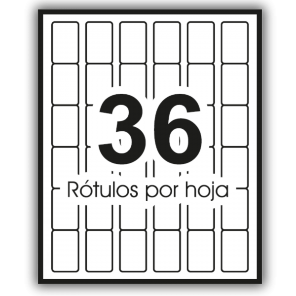 31.0 x 45.5 mm